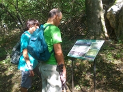 42 Ci sono molte descrizioni nel bosco
